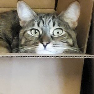 Meet your Posher, Brandon